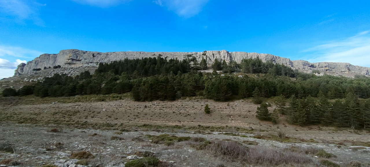 WhatsApp Image 2026-02-10 at 14.47.48 (7)